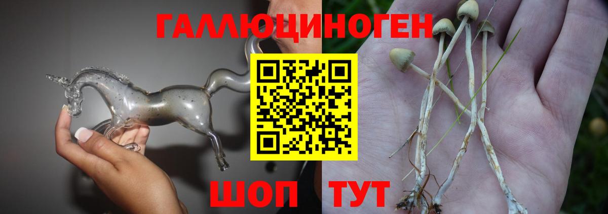 Псилоцибиновые грибы MAGIC MUSHROOMS Уссурийск